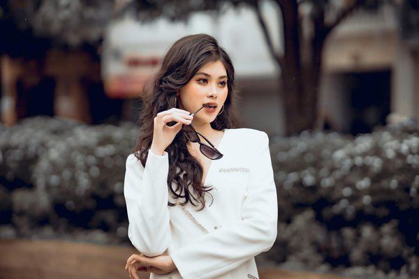 Alimentazione Su Misura: Guida alla Dieta Casalinga per Gatti Persiani Anziani con Malattie Croniche