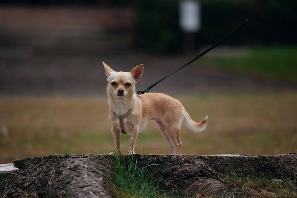 Descubre las perspectivas expertas que debes conocer